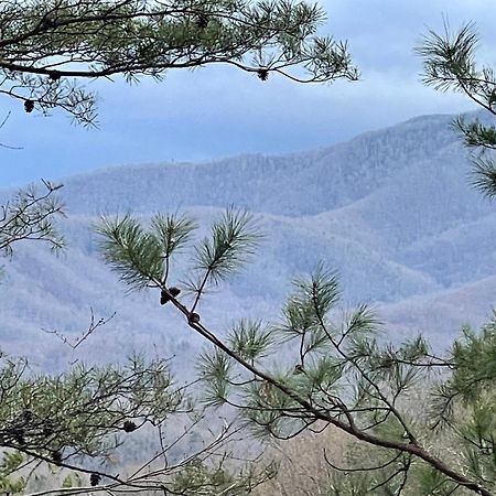 Mountain Love Nest แกตลิงเบิร์ก ภายนอก รูปภาพ