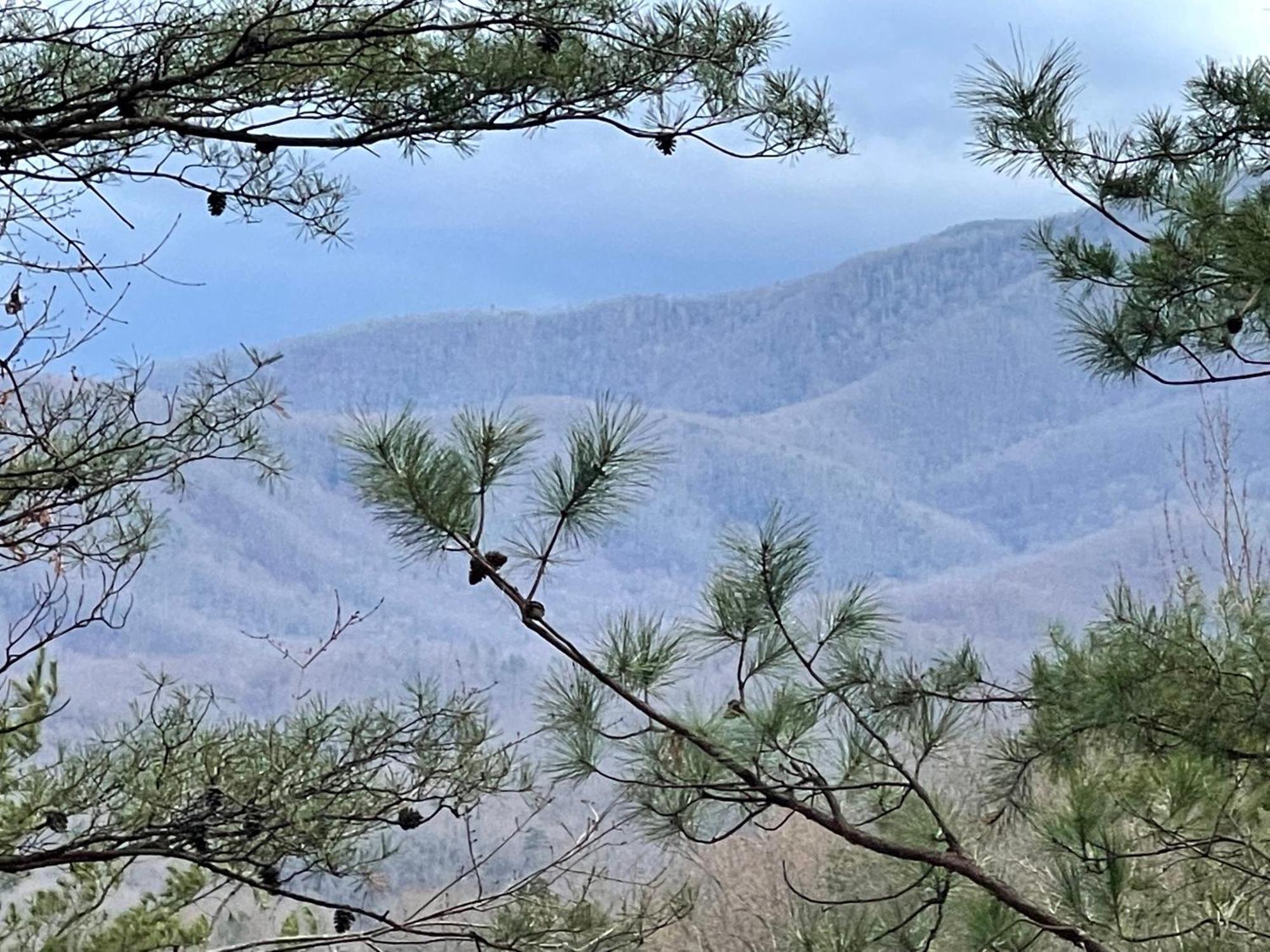 Mountain Love Nest แกตลิงเบิร์ก ภายนอก รูปภาพ